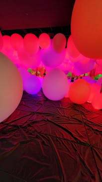 チームラボフォレスト 福岡 - SBI証券に投稿された画像（2022/11/22）