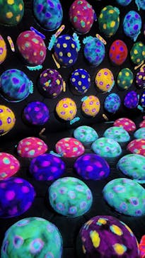 チームラボフォレスト 福岡 - SBI証券に投稿された画像（2022/11/22）