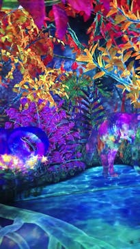 チームラボフォレスト 福岡 - SBI証券に投稿された画像（2022/11/22）