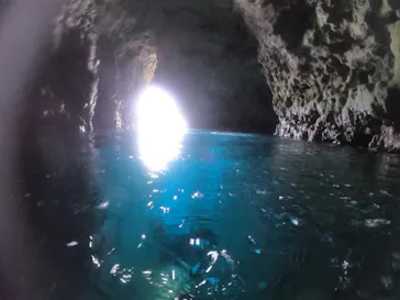 武藤潜水に投稿された画像（2022/11/22）