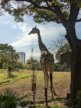 天王寺動物園に投稿された画像（2022/11/22）
