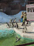 天王寺動物園に投稿された画像（2022/11/22）