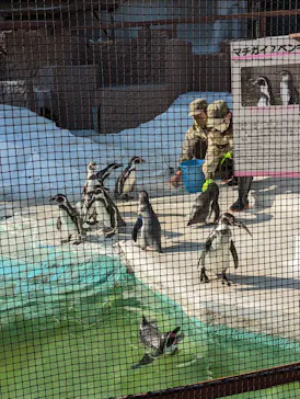 天王寺動物園に投稿された画像（2022/11/22）