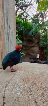 神戸どうぶつ王国に投稿された画像（2022/11/22）