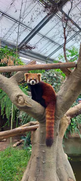 神戸どうぶつ王国に投稿された画像（2022/11/22）