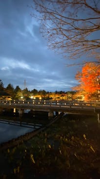 国営昭和記念公園 秋の夜散歩に投稿された画像（2022/11/22）