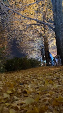 国営昭和記念公園 秋の夜散歩に投稿された画像（2022/11/22）