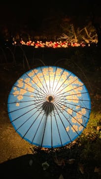 国営昭和記念公園 秋の夜散歩に投稿された画像（2022/11/22）