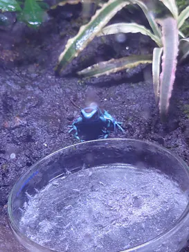 横浜・八景島シーパラダイスに投稿された画像（2022/11/22）