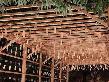 国営昭和記念公園 秋の夜散歩に投稿された画像（2022/11/22）