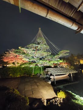 国営昭和記念公園 秋の夜散歩に投稿された画像（2022/11/22）