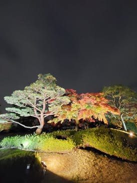 国営昭和記念公園 秋の夜散歩に投稿された画像（2022/11/22）