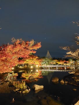 国営昭和記念公園 秋の夜散歩に投稿された画像（2022/11/22）