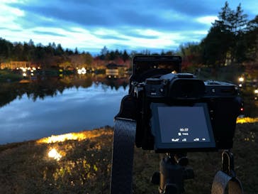 国営昭和記念公園 秋の夜散歩に投稿された画像（2022/11/22）