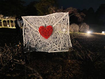 国営昭和記念公園 秋の夜散歩に投稿された画像（2022/11/22）