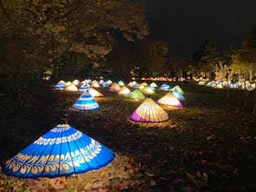 国営昭和記念公園 秋の夜散歩に投稿された画像（2022/11/22）