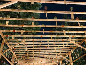 国営昭和記念公園 秋の夜散歩に投稿された画像（2022/11/22）