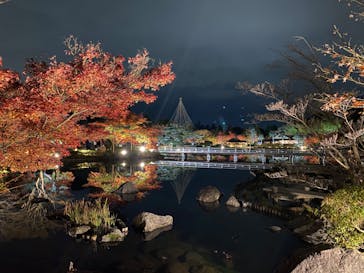 国営昭和記念公園 秋の夜散歩に投稿された画像（2022/11/22）