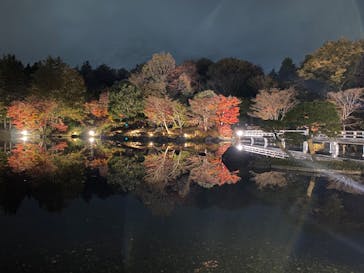国営昭和記念公園 秋の夜散歩に投稿された画像（2022/11/22）