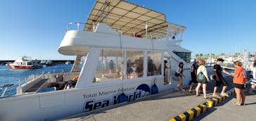 Sea World（シーワールド）に投稿された画像（2022/11/22）