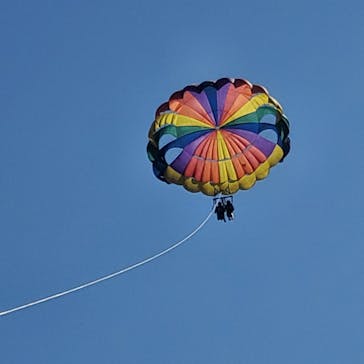 Sea World（シーワールド）に投稿された画像（2022/11/22）