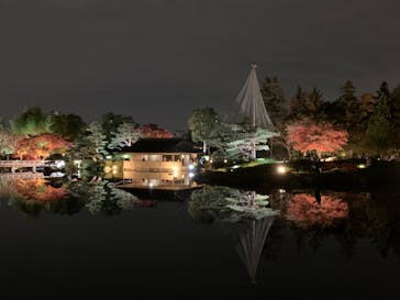 国営昭和記念公園 秋の夜散歩に投稿された画像（2022/11/22）