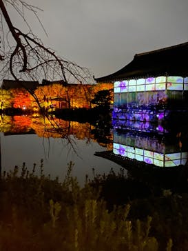 NAKEDヨルモウデ2022平安神宮に投稿された画像（2022/11/22）