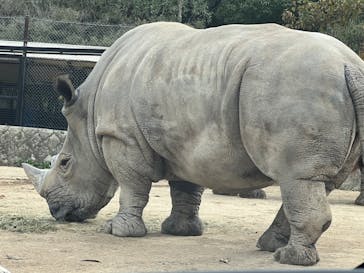 姫路セントラルパークに投稿された画像（2022/11/22）