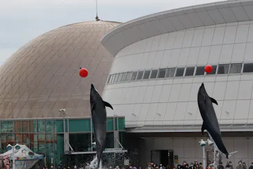 名古屋港水族館に投稿された画像（2022/11/22）