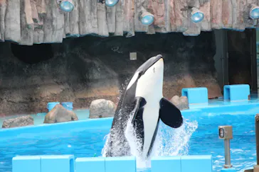 名古屋港水族館に投稿された画像（2022/11/22）