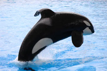 名古屋港水族館に投稿された画像（2022/11/22）