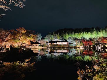 国営昭和記念公園 秋の夜散歩に投稿された画像（2022/11/22）