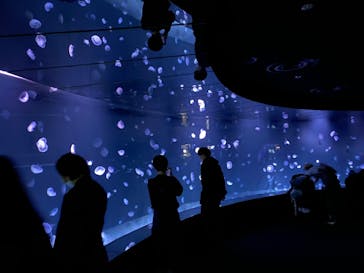 サンシャイン水族館に投稿された画像（2022/11/22）