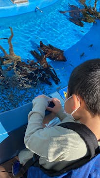 サンシャイン水族館に投稿された画像（2022/11/22）