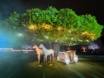 東京メガイルミに投稿された画像（2022/11/22）