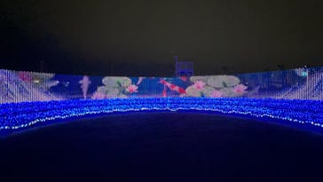 東京メガイルミに投稿された画像（2022/11/22）