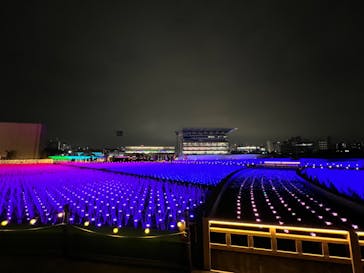 東京メガイルミに投稿された画像（2022/11/22）