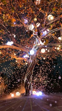 西武園ゆうえんちに投稿された画像（2022/11/22）