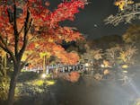 国営昭和記念公園 秋の夜散歩に投稿された画像（2022/11/22）