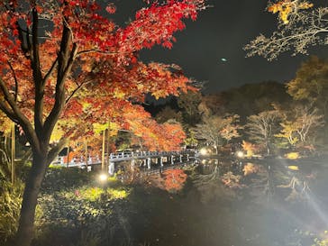国営昭和記念公園 秋の夜散歩に投稿された画像（2022/11/22）