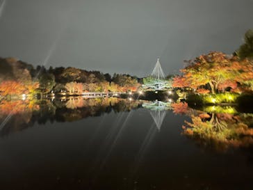 国営昭和記念公園 秋の夜散歩に投稿された画像（2022/11/22）