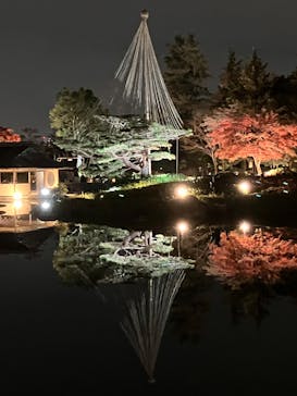 国営昭和記念公園 秋の夜散歩に投稿された画像（2022/11/22）