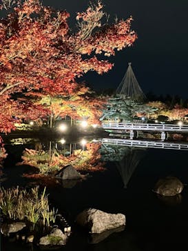 国営昭和記念公園 秋の夜散歩に投稿された画像（2022/11/22）