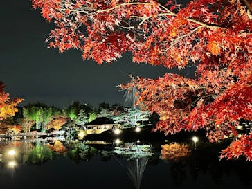 国営昭和記念公園 秋の夜散歩に投稿された画像（2022/11/22）