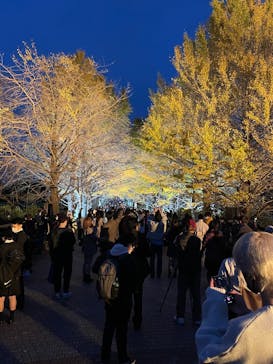 国営昭和記念公園 秋の夜散歩に投稿された画像（2022/11/22）