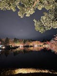 国営昭和記念公園 秋の夜散歩に投稿された画像（2022/11/22）