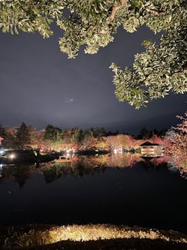 国営昭和記念公園 秋の夜散歩に投稿された画像（2022/11/22）