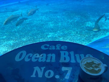 沖縄美ら海水族館に投稿された画像（2022/11/22）