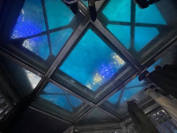 沖縄美ら海水族館に投稿された画像（2022/11/22）