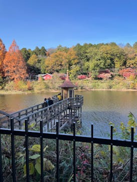 ムーミンバレーパークに投稿された画像（2022/11/22）